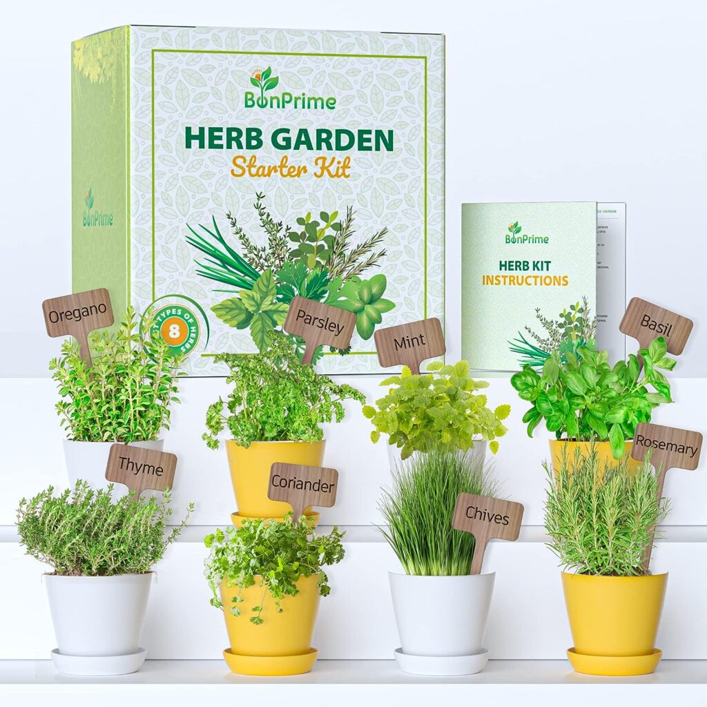 BonPrime Kit de Cultivo Hierbas aromaticas