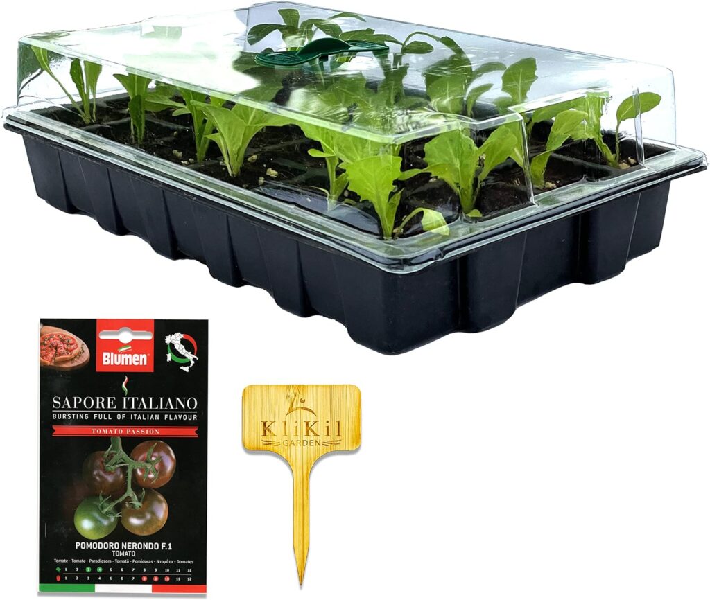 Invernadero Semillero Germinador Súper Duro - Kit de 1 Mini Invernadero de 24 Compartimentos