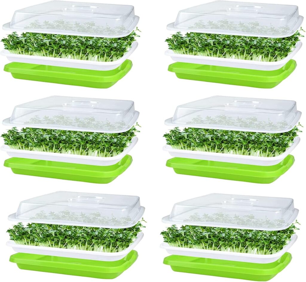 KAHEIGN 6 Piezas Bandejas De Germinación De Semillas con Tapa