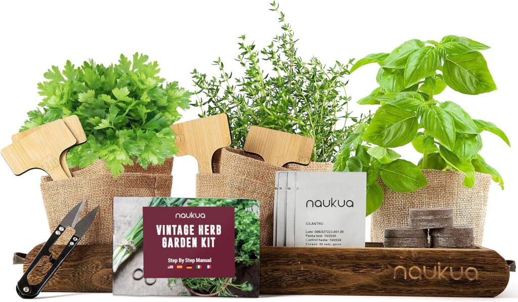 Mini Huerto Urbano Vintage de Plantas Aromáticas y Culinarias